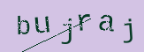 Captcha Image: you will need to recognize the text in it.