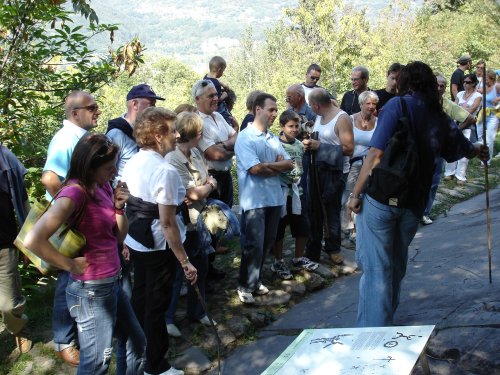 Darfo (2006)