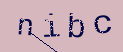 Captcha Image: you will need to recognize the text in it.