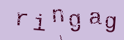 Captcha Image: you will need to recognize the text in it.