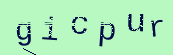 Captcha Image: you will need to recognize the text in it.