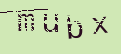 Captcha Image: you will need to recognize the text in it.