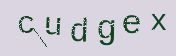 Captcha Image: you will need to recognize the text in it.