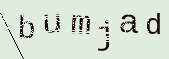 Captcha Image: you will need to recognize the text in it.