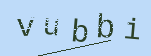 Captcha Image: you will need to recognize the text in it.