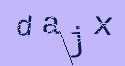 Captcha Image: you will need to recognize the text in it.